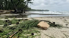 復活祭シーズンでも静かに過ごせる海辺：コスタ・デル・エステの見どころ・遊び方・行き方