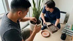 サンスベリアの鉢に錆びた釘を挿すのはなぜ？鉄分効果の限界と失敗しない基本ケア